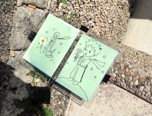 Des ateliers cyanotype autour du Petit Prince au Centre hospitalier Laborit