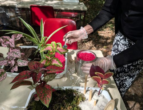Le CH Laborit participe à l’après-midi Nature & Bien-être des Accessifs